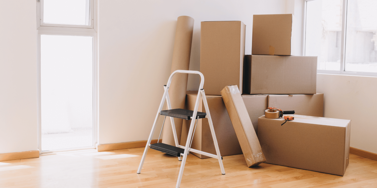 Untitled design - 2025-11-24T120830.546