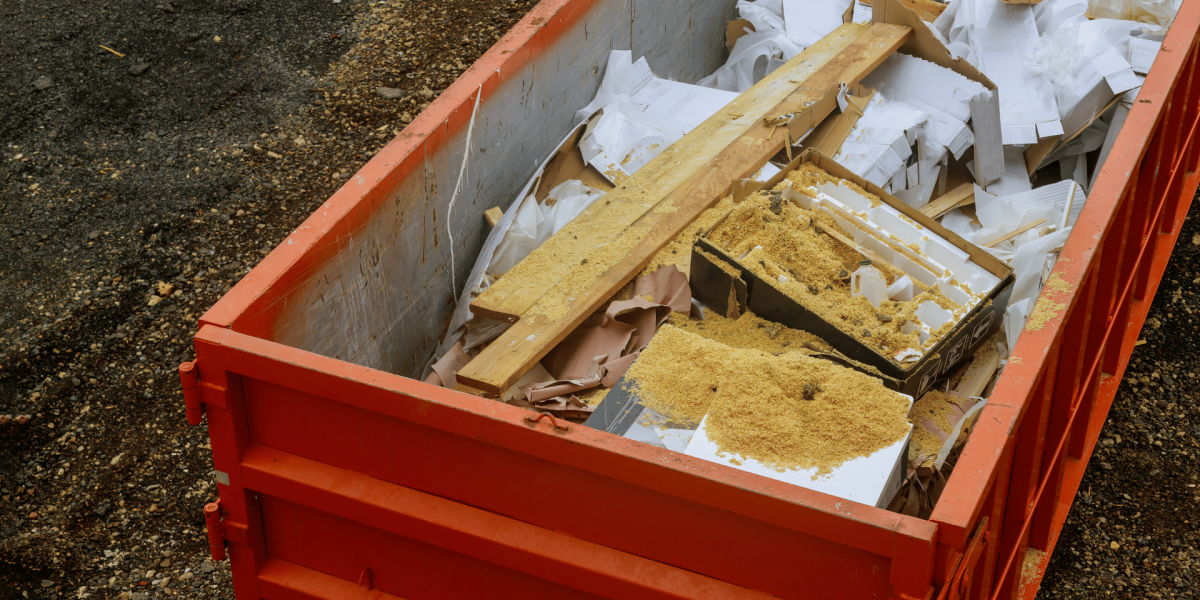 Untitled design - 2025-11-24T121435.809